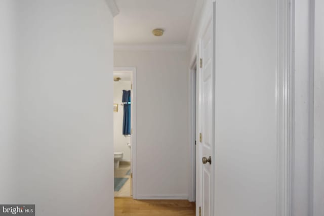 corridor with crown molding and light hardwood / wood-style floors