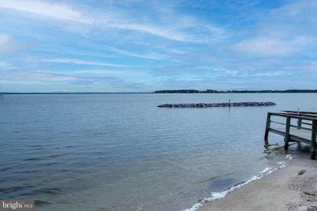 dock area with a water view