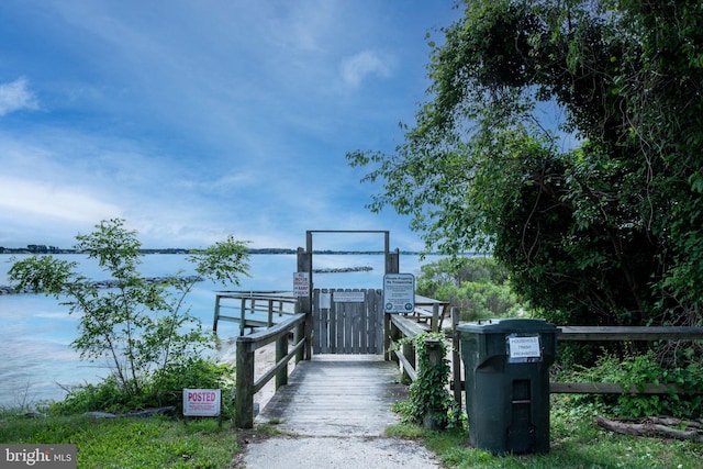 dock area with a water view