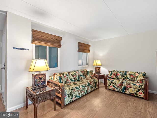 living room with hardwood / wood-style flooring