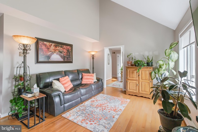 409 Hilltop Rd, Strasburg, PA 17579 - living room featuring high vaulted ceiling and light wood-type flooring