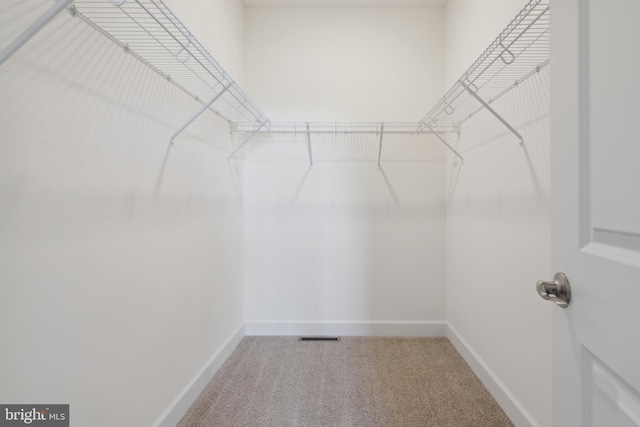 walk in closet featuring carpet flooring