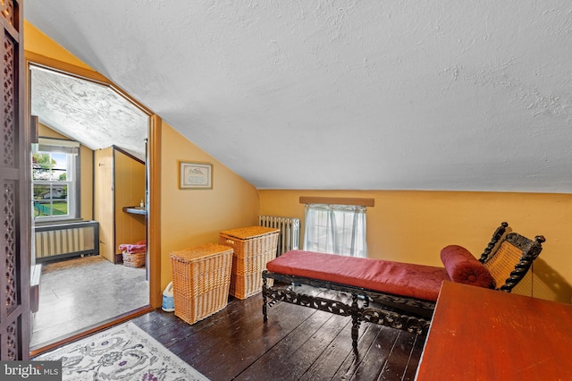 playroom featuring dark hardwood / wood-style flooring, lofted ceiling, a textured ceiling, and radiator