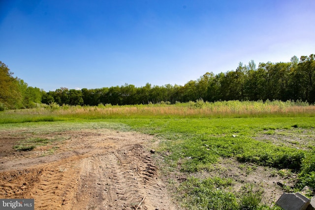 view of local wilderness