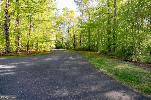 view of road