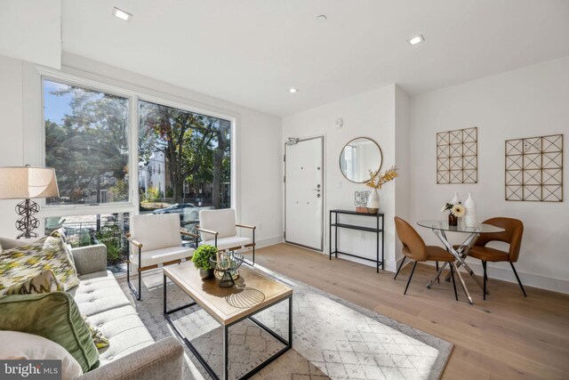 living room featuring light wood-type flooring