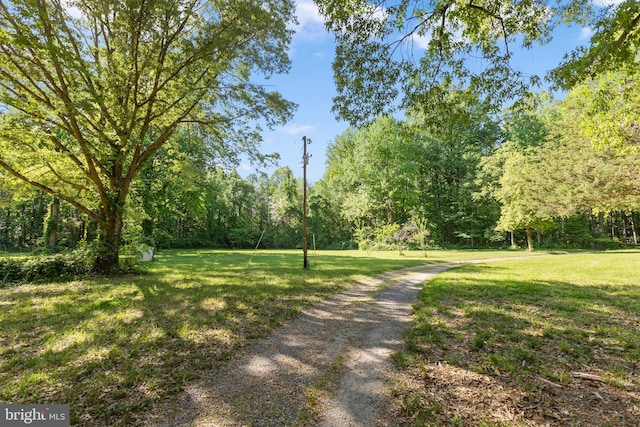 exterior space with a yard