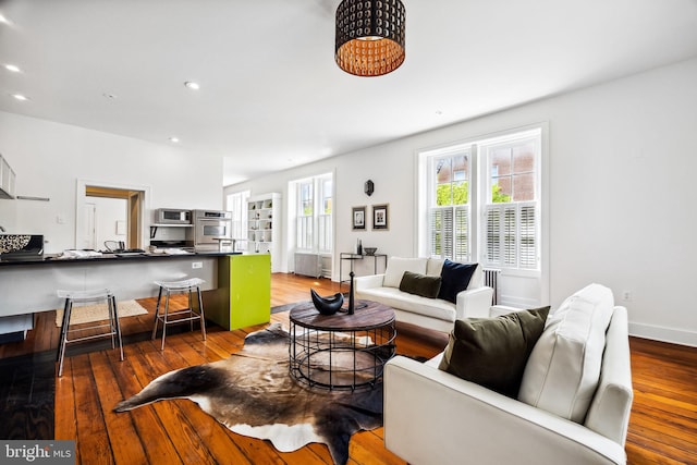 living room featuring wood-type flooring