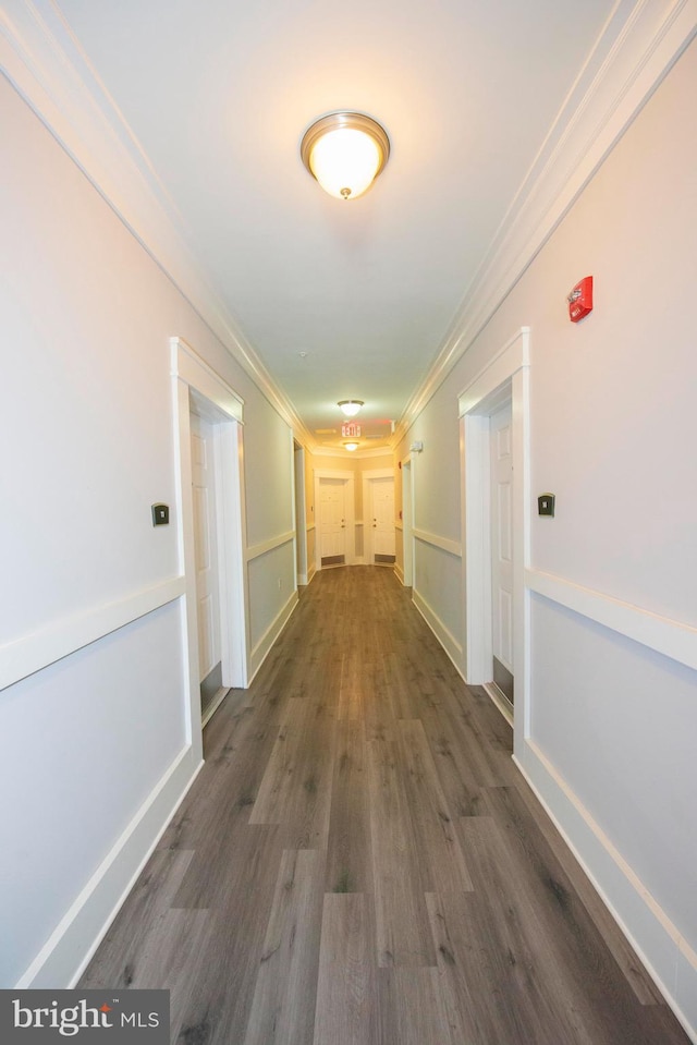 hall featuring dark hardwood / wood-style flooring and crown molding