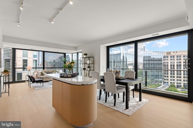 dining area featuring a wealth of natural light and light hardwood / wood-style floors