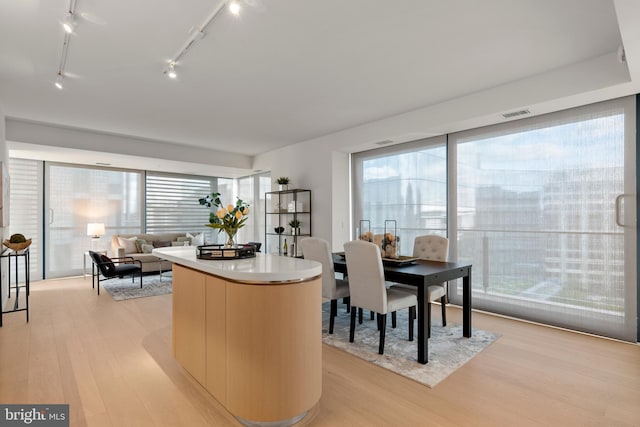 interior space with a center island, a healthy amount of sunlight, and light hardwood / wood-style flooring