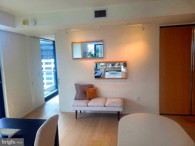 living room featuring track lighting and light wood-type flooring