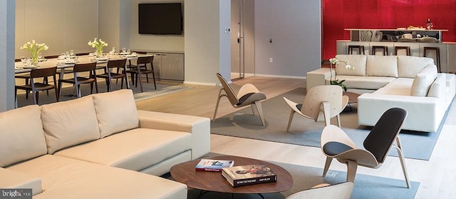 living room featuring light hardwood / wood-style floors