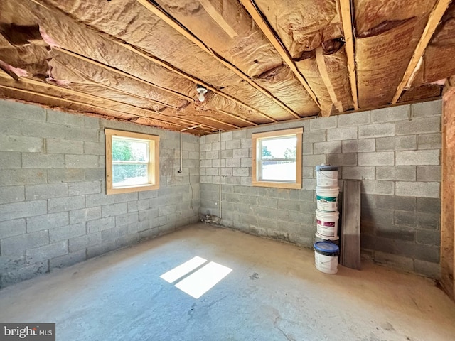 basement featuring a healthy amount of sunlight