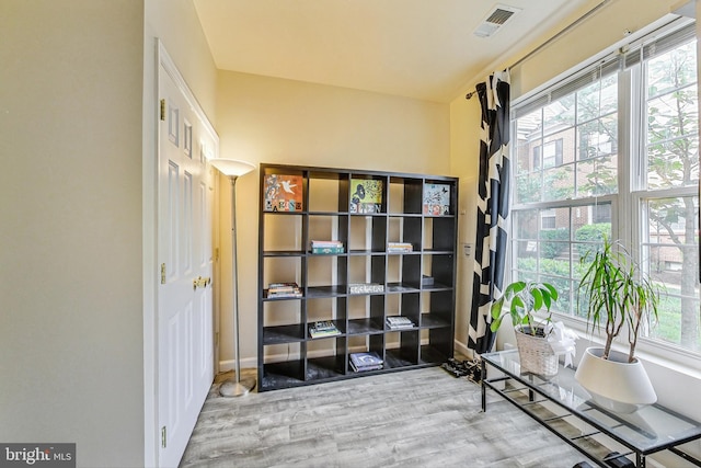 living area featuring wood-type flooring