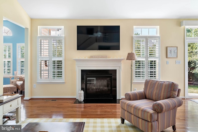 living room featuring wood-type flooring