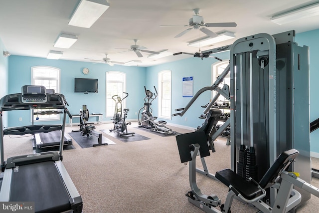 exercise room featuring ceiling fan and carpet