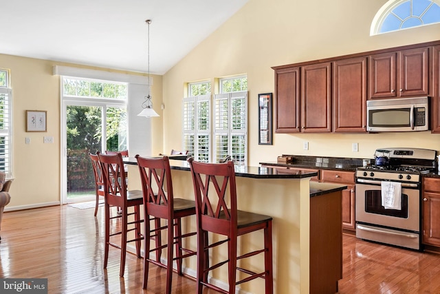 kitchen featuring light hardwood / wood-style floors, plenty of natural light, and stainless steel appliances