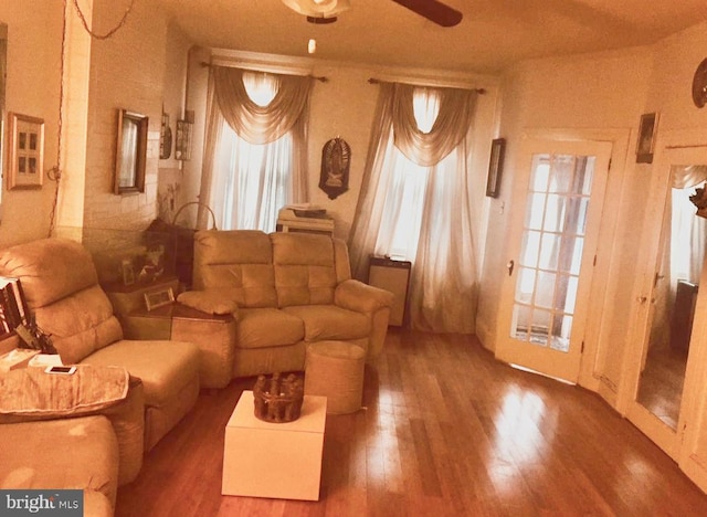 living room featuring hardwood / wood-style floors, plenty of natural light, and ceiling fan