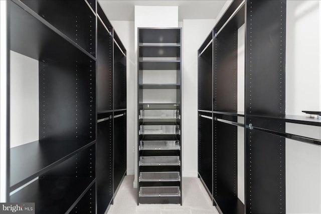 spacious closet featuring light carpet