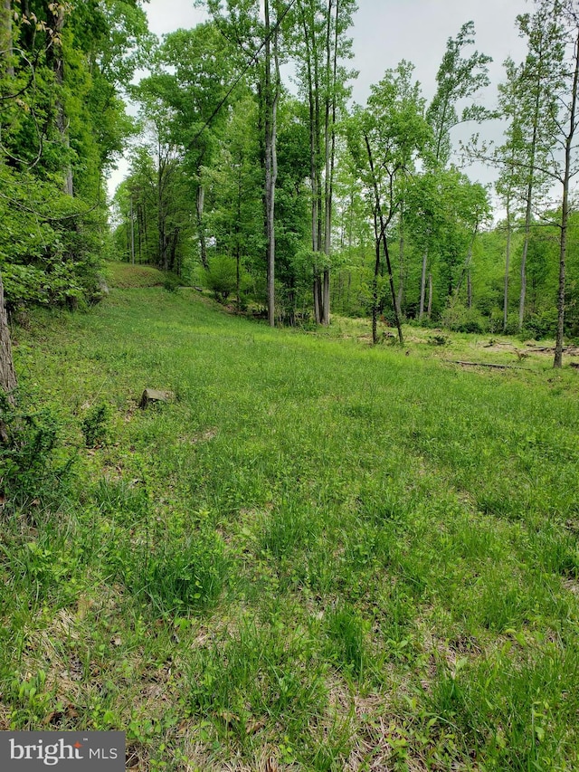 3094 Critton Owl Hollow Rd, Paw Paw WV, 25434 land for sale