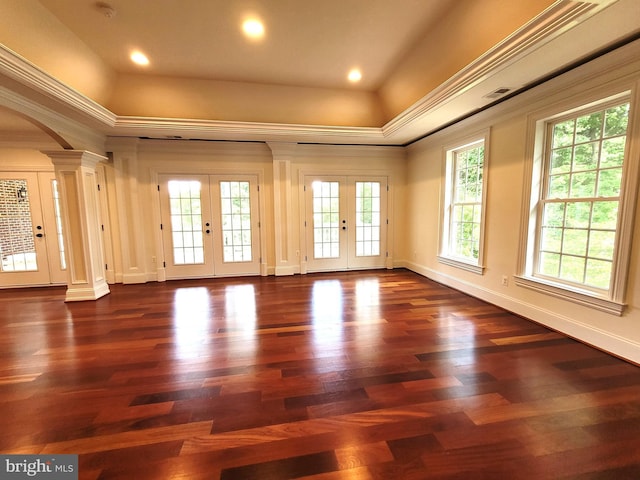 empty room with french doors, dark hardwood / wood-style floors, and plenty of natural light