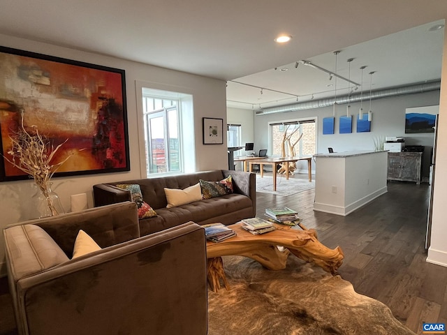 living room featuring dark hardwood / wood-style flooring