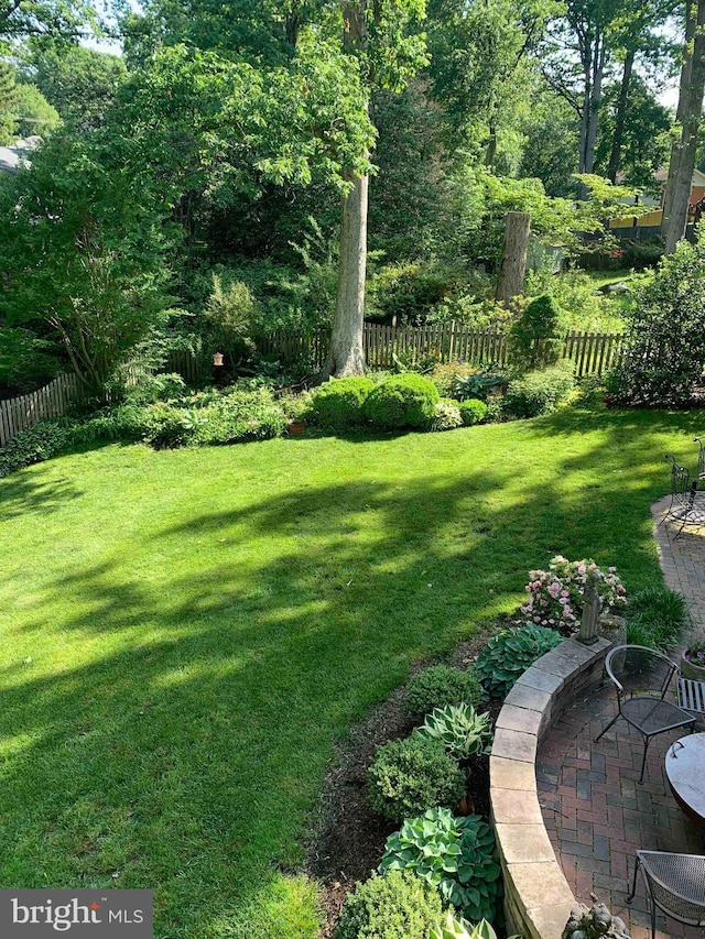 view of yard featuring a patio area and fence