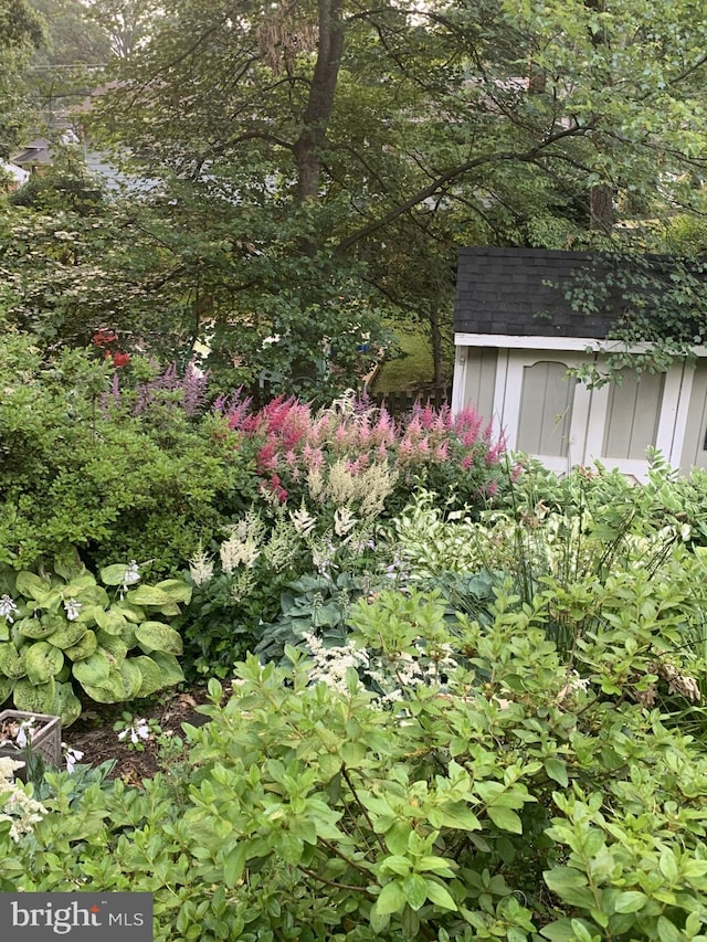 view of yard featuring a storage shed and an outbuilding