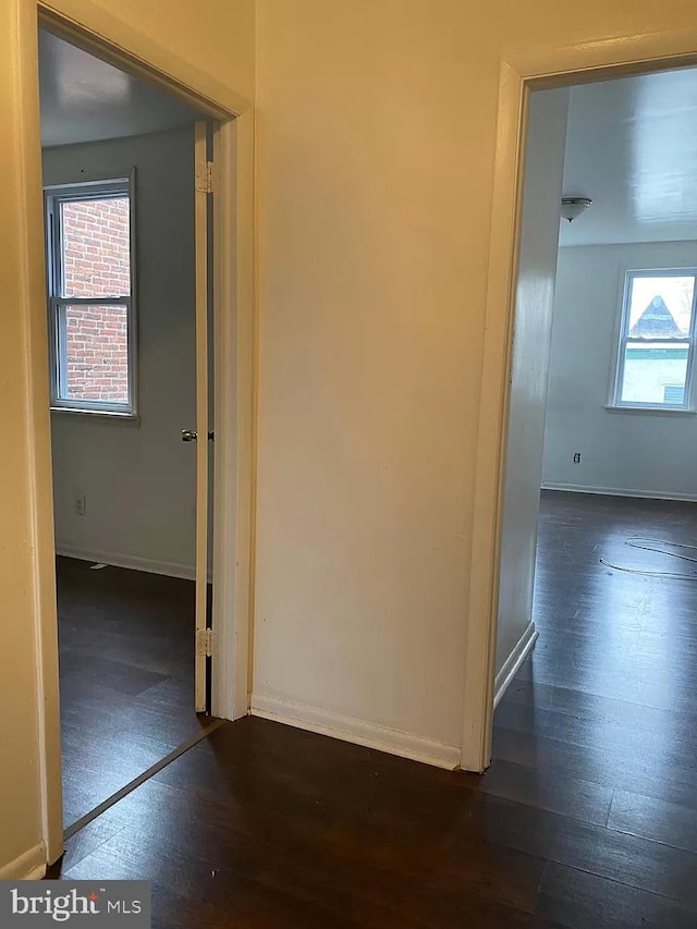 hall with dark hardwood / wood-style flooring and a wealth of natural light