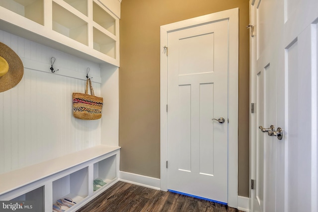 mudroom featuring dark hardwood / wood-style flooring