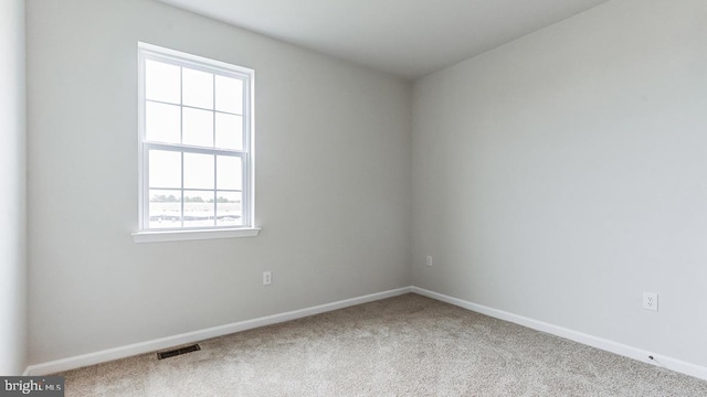 empty room featuring a wealth of natural light and carpet floors