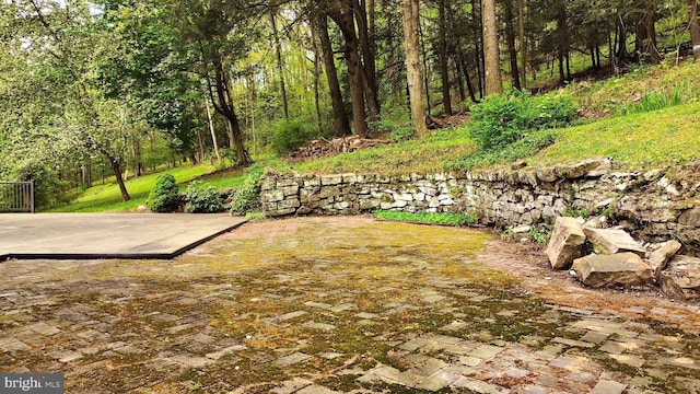 view of yard featuring a patio