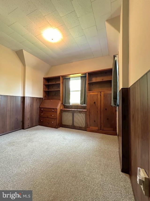 interior space with light carpet and wooden walls