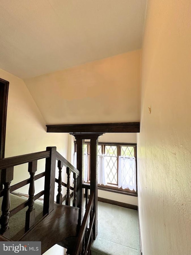 stairs with vaulted ceiling and carpet