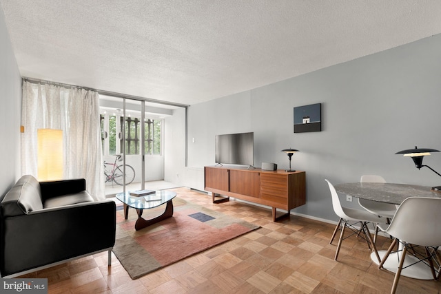 living room featuring a textured ceiling