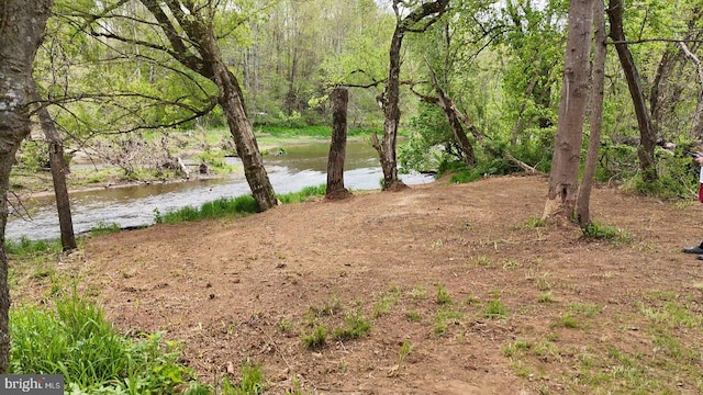 view of yard with a water view