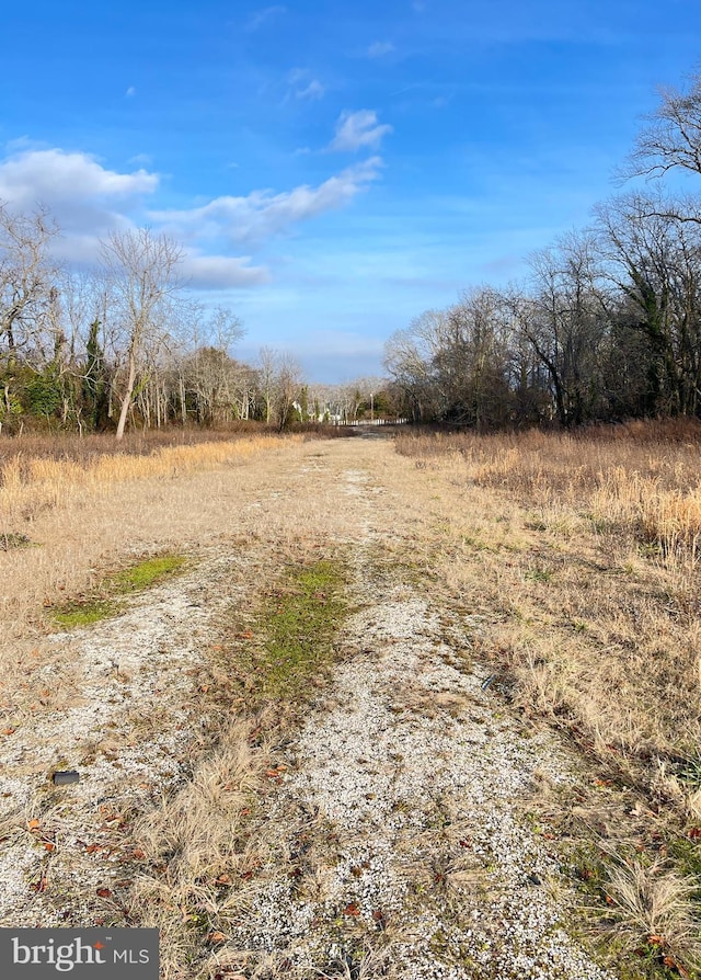 view of local wilderness featuring a rural view