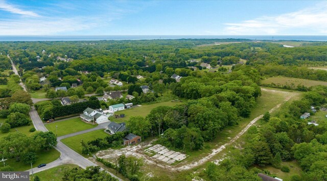 view of bird's eye view