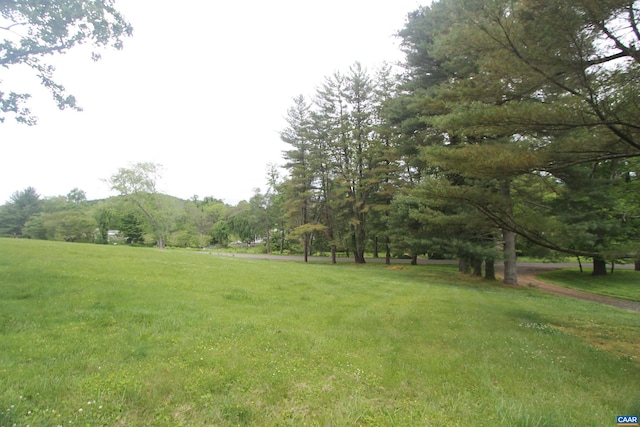 view of yard with a mountain view