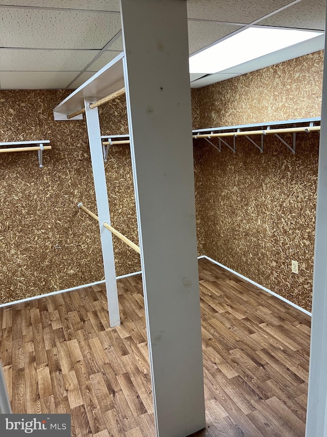 spacious closet with hardwood / wood-style flooring and a drop ceiling