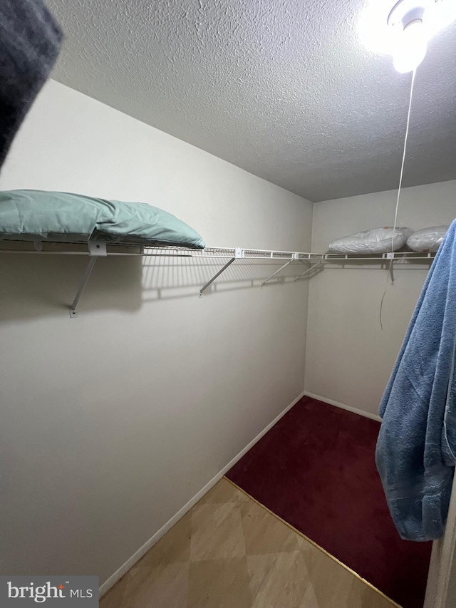 walk in closet featuring carpet floors