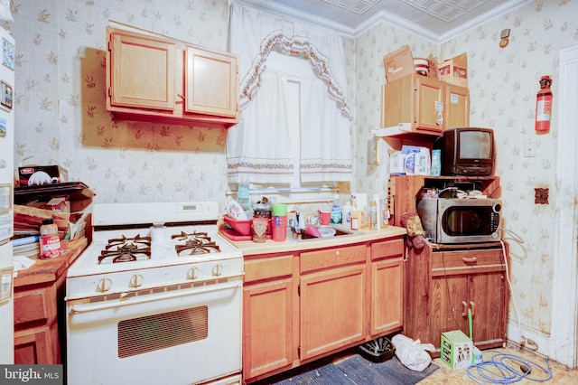 kitchen with sink, white range with gas stovetop, ornamental molding, and light brown cabinets