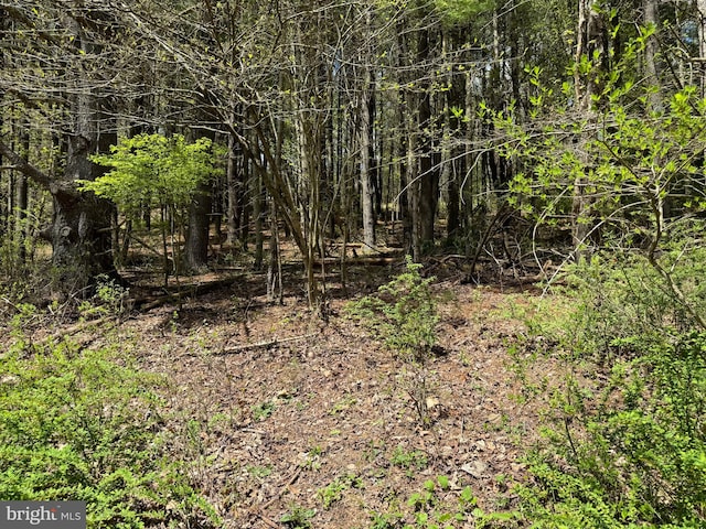 Listing photo 2 for LOT2 Haney Rd, Kunkletown PA 18058