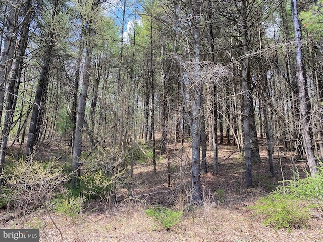 Listing photo 3 for LOT2 Haney Rd, Kunkletown PA 18058