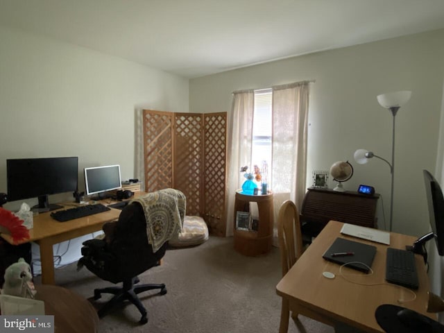 office area featuring carpet