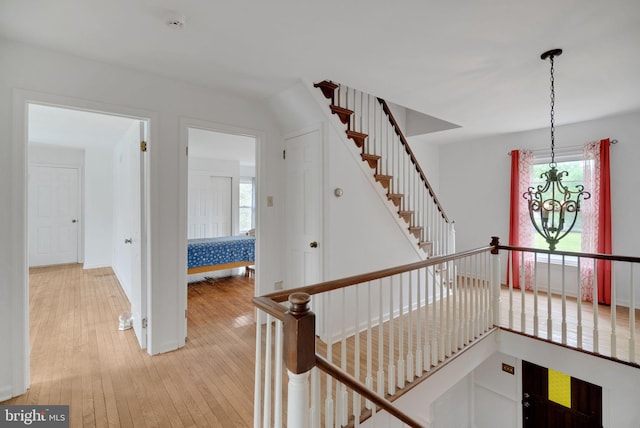 hallway featuring a notable chandelier, a wealth of natural light, and light wood-type flooring