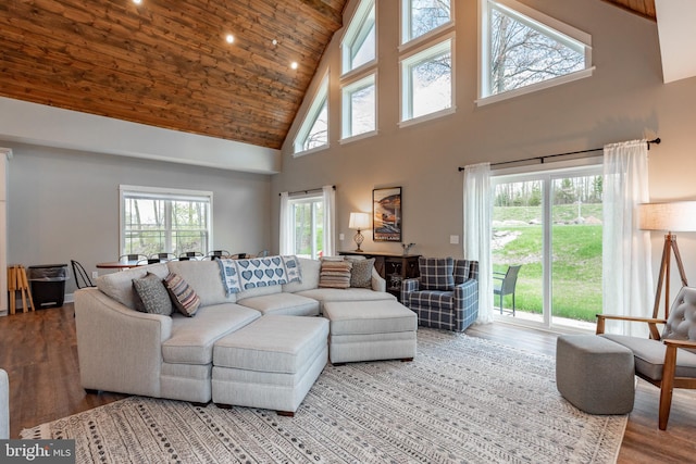 living room featuring a healthy amount of sunlight, high vaulted ceiling, and wood-type flooring