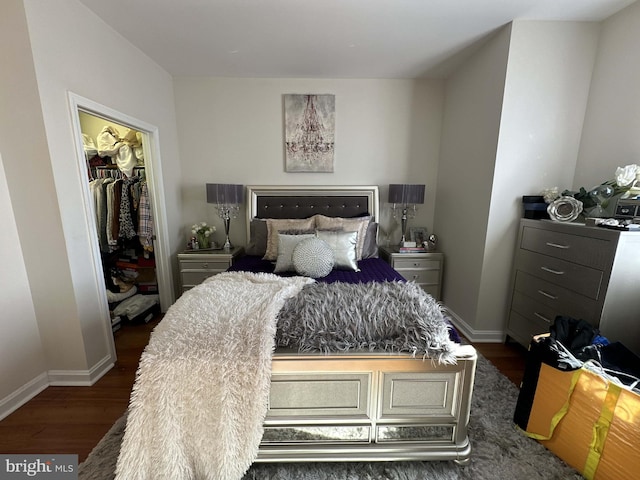 bedroom featuring a spacious closet, dark hardwood / wood-style floors, and a closet