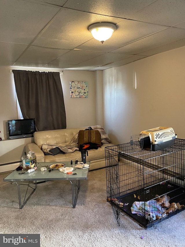 carpeted living room featuring a drop ceiling